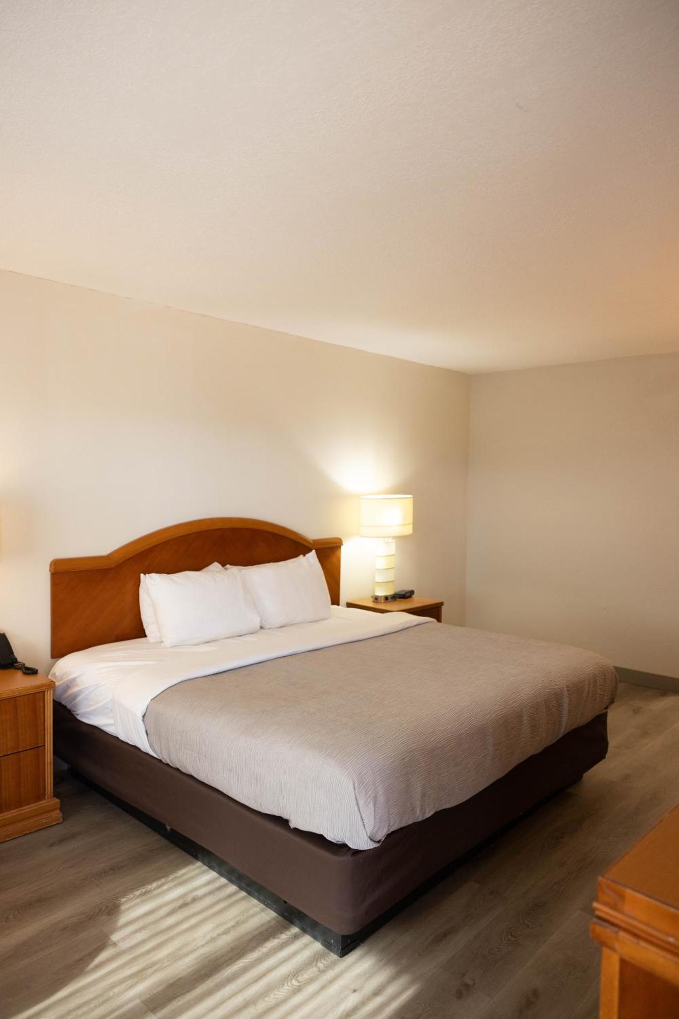 Quality Inn & Suites Lake Havasu City Bagian luar foto